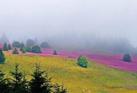 4. kongres glaukomatologa Srbije 16-18.05.2019.